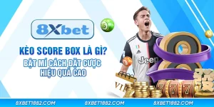 Kèo score box là gì? Bật mí cách đặt cược hiệu quả cao